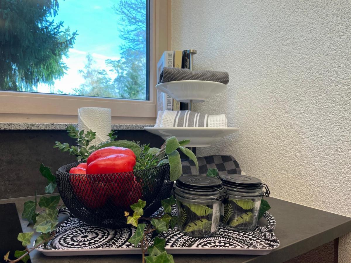 Limes Apartment -Uebernachten Am Limes- Rainau 외부 사진